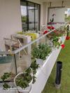 Luxury Apartments Alix