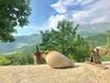 Bed & Breakfast Ana-maria Bnb