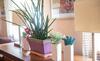 Apartamento Hidden Gem Of Old Town