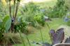 Apartamento Butlers Lane - The Studio