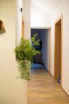 Apartamento Appartement Christiane