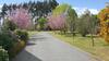 Villa Ohoka Country Retreat