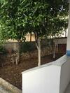 Private Holiday Home With Garden View Balcony