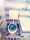 Apartman Iva