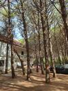 Apartamento Hotel Domeniko&juri