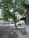 Apartamento Rc On Sayat-nova Avenue 18