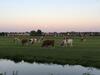 B&b-edam