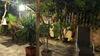 Hostal Vereda De Las Camellas