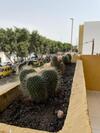 Apartamento El Olivar Playa Chica - 1�a - Arena
