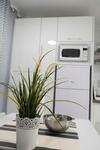 C�ntrico Apartamento Cerca De La Playa
