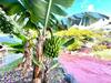Apartamento Single Studio E With Wifi, Balcony, Swimming Pools