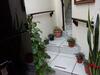 Rec�mara R�stica