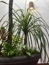 Bed & Breakfast Residence Las Trojes Cdmx