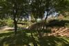 Masia Rural Can Salarichs