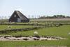 Vakantiepark De Krim Texel