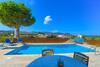 Villa The Vines