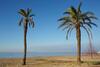 Apartaments Terraza - Salat� Mar