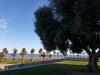 Apartamento Godall Playa, Sant Carles de La Rapita
