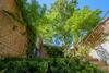 1bd Apartment With Garden Brugmann Area