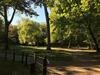 Bed & Breakfast 50's Studio Parc Marie-jos�e