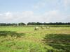 Charming Villa In Venhorst With Sauna