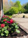 Bed & Breakfast Landhuis Sere