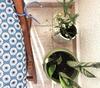 Apartamento Anemomylos Guesthouse