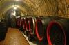 Apartamento Vina?stv� Koliba