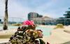Luxury Ocean Spa Plaza Private Large 1 Bed Apartment