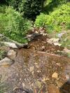 Villa ??astn� Kopec Vila ?. 56