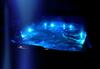 Villa Dakota - Jacuzzi, Zwembad, Playstation