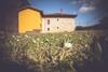 Agroturismo Floreu de Remis