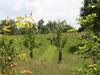 Apartamentos Enterbrook 2