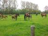 B&B Het Oude Atelier