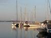 Vakantiewoningen De Schelp