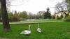 Apartament Parkowy