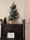 Apartments Abate 4