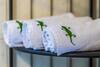 Apartamenty Le?nicz�wka Salamandra