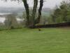 Bed & Breakfast Willowbank House
