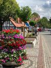 Siedlisko Wytowno