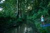 Lodge Domek W Lesie