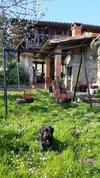 Agroturismo Turismo Rural El Piensu
