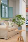 Apartamentos L�rien Zarautz