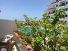 Apartamento ??????????? Seguro de Sol Playa de La Arena