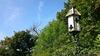 Bed & Breakfast Elderslie Guest House