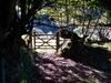 Bed & Breakfast Wilsham Farm