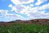 Apartamento Monta�a Valles de Ortega -d