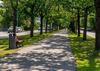 Tulbi Beach Apartmens