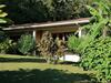 Bed & Breakfast La Ceiba Tree Lodge