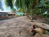 Apartamento Caribbean View